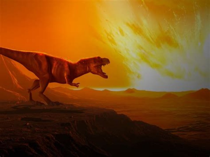 2024 Kelly Fitzgerald Update: Surprising Discoveries Revealed