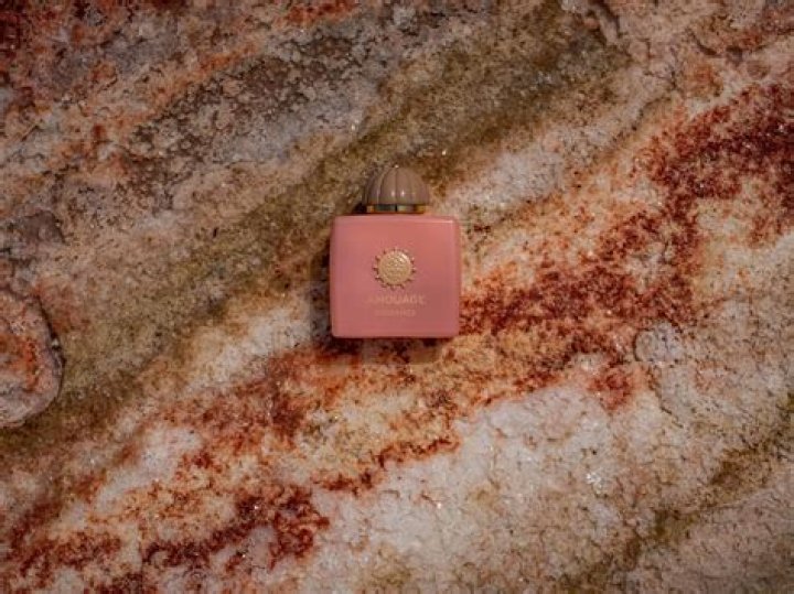 A Deep Dive Into Her Bachelor Journey