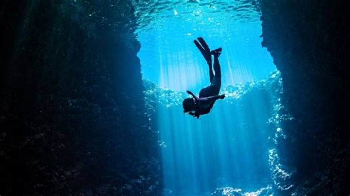 A Deep Dive Into The Cultural Phenomenon