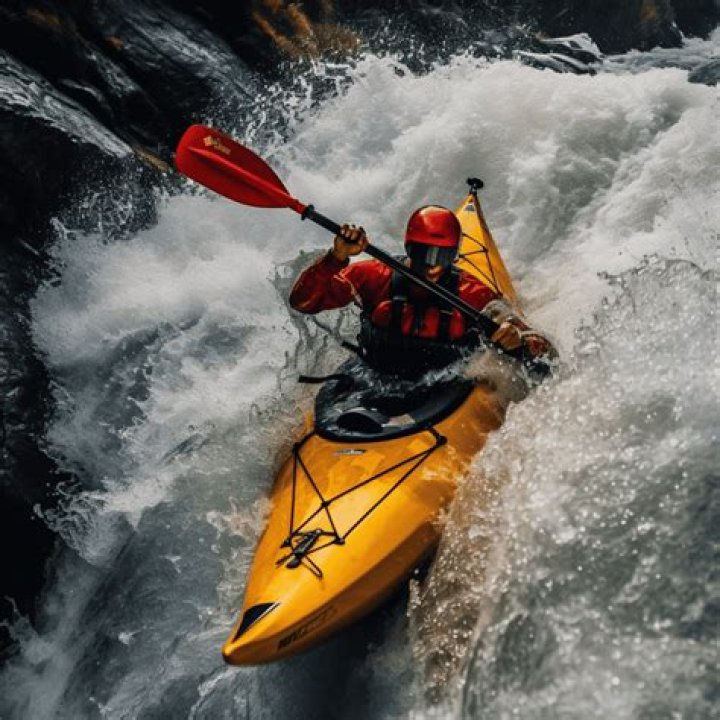 A Journey Into An Exciting Sport