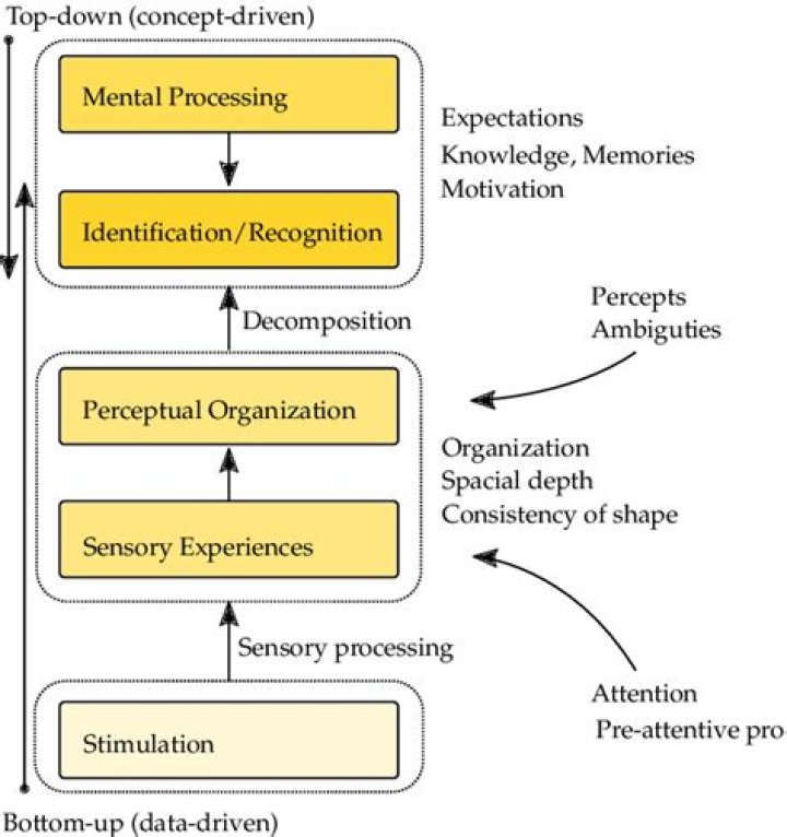 A Journey Of Abstract Perception And Memory