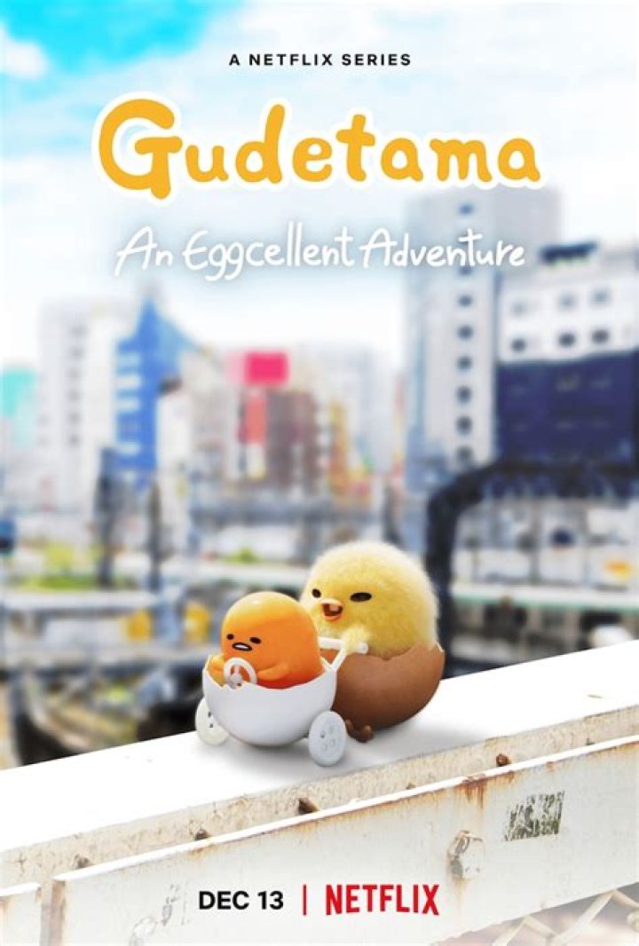 A Journey Of Eggcellent Discoveries