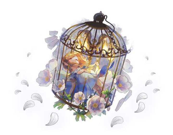 A Journey Of Frozen Delights