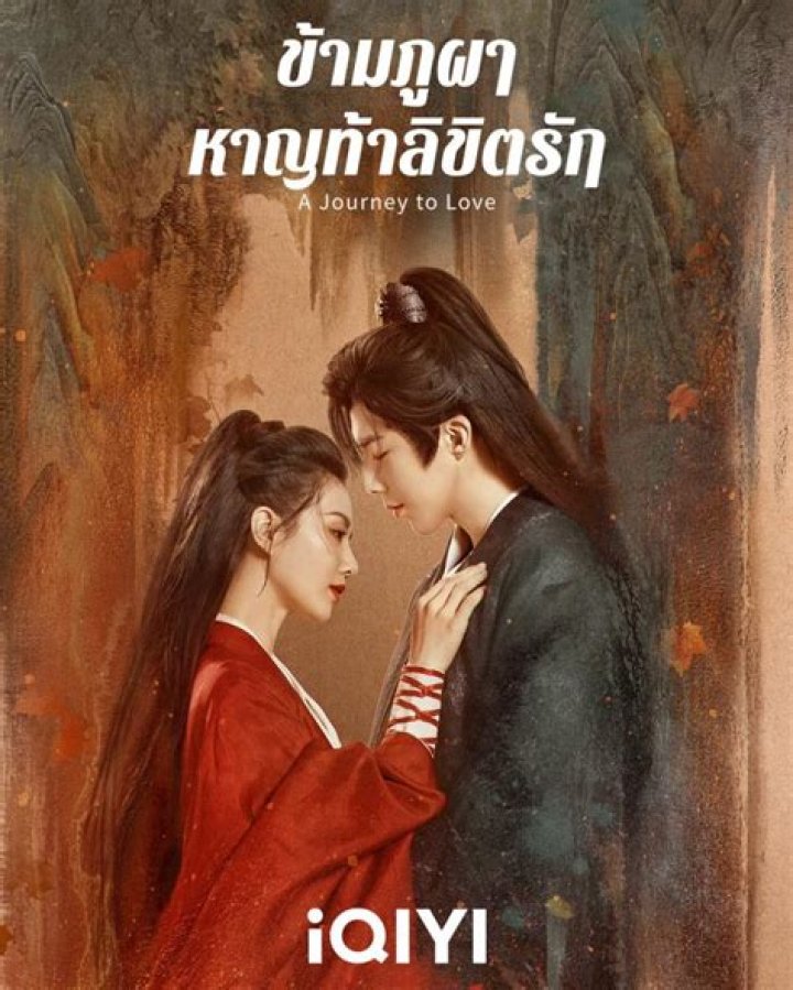 A Journey To Digestive Harmony