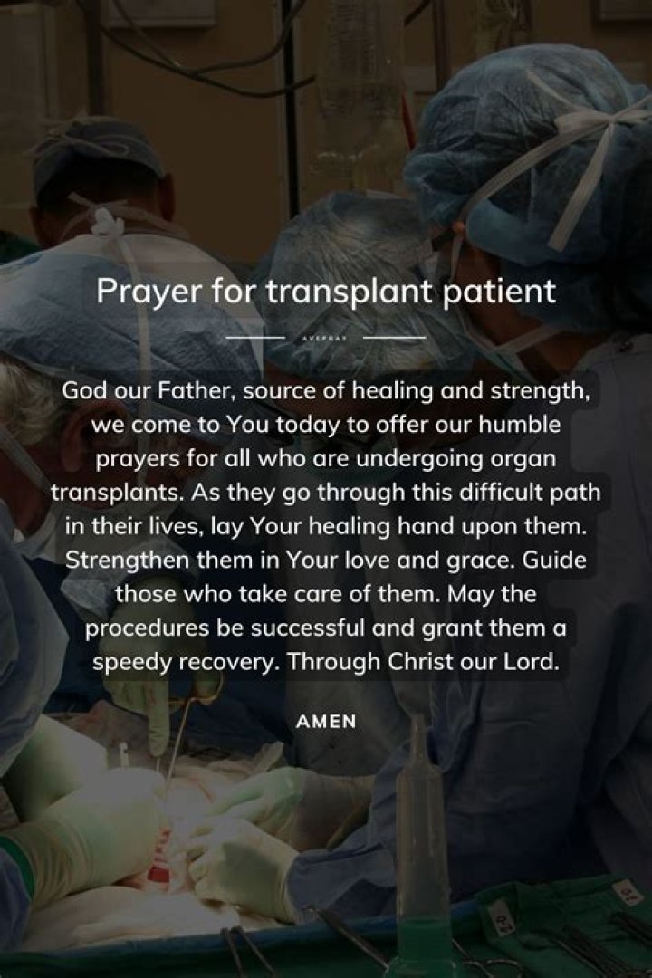 A Mother's Warmth Chapter 3: A Journey of Love, Resilience, and Growth