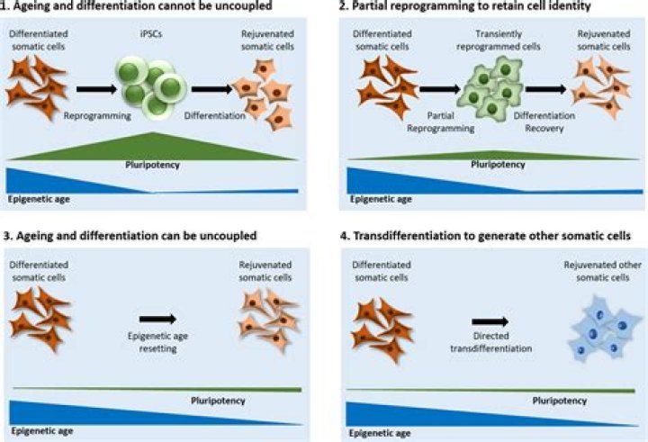 A Spa Haven For Rejuvenation And Tranquility