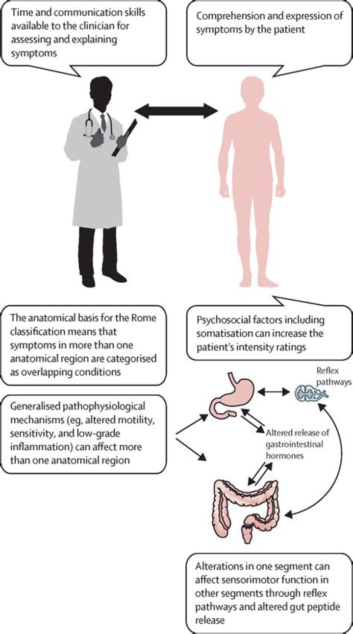 Abi Angel Fart: A Comprehensive Guide to Understanding and Managing Intestinal Gas