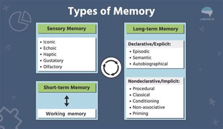 An Exploration Of Memory, Time, And Identity