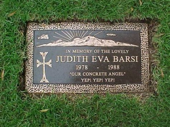 An Exploration Of The Judith Barsi Crime Scene