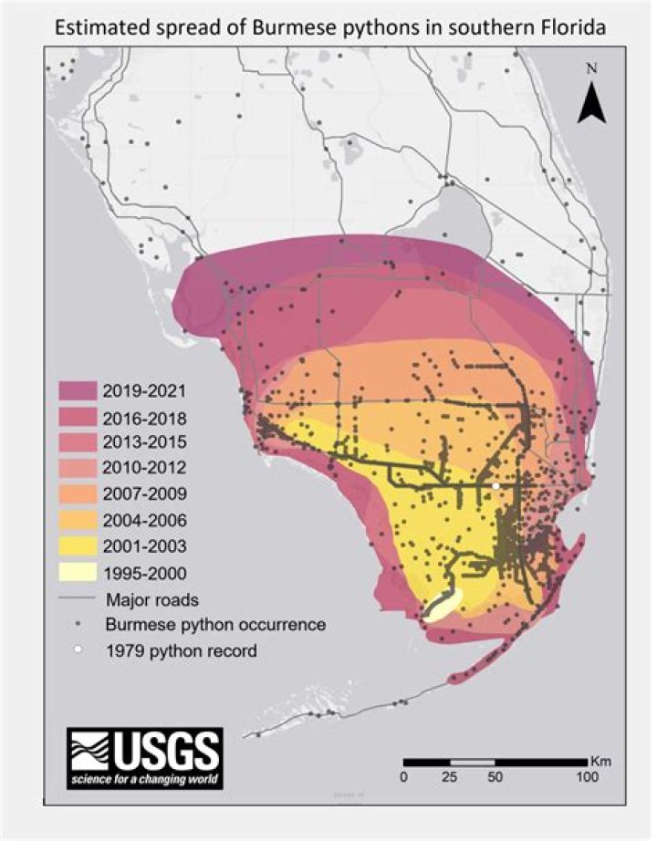 Burmese Python Florida Map Reveals Surprising Insights