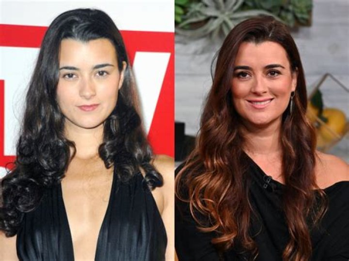 Cote de Pablo's Daughter Name: Exploring the Life of the Talented Actress and Her Family