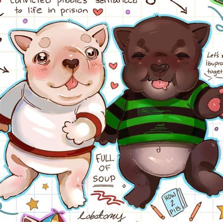 Curbstomp: The Ultimate Guide to Understanding Its Meaning, History, and Impact