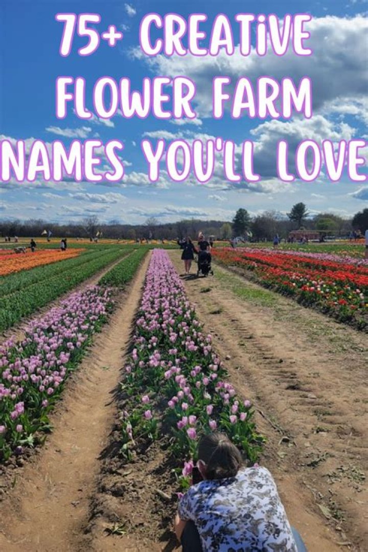 Discover Enchanting Flower Farm Name Ideas