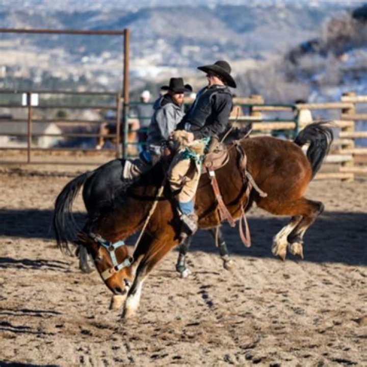 Discover The Enchanting Allure Of Flying W Ranch Rodeo