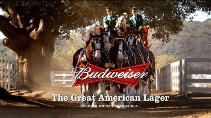 Discover The Masterstrokes Of Budweiser Commercials