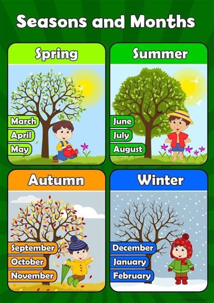 Discover The Number Of Seasons