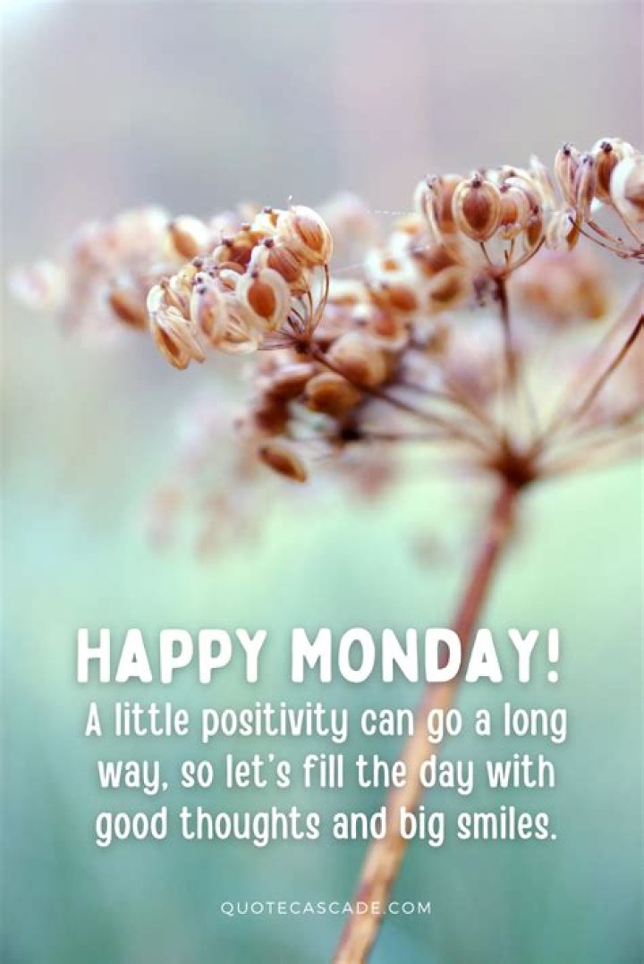 Discover The Power Of "Happy Monday Messages"
