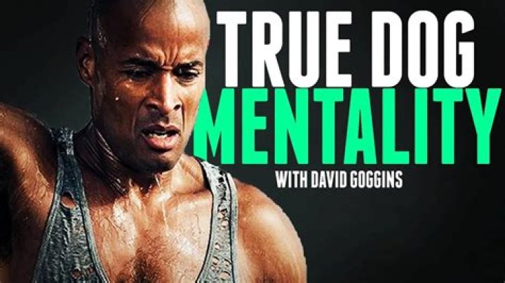 Discover The Untold Wealth Of David Goggins