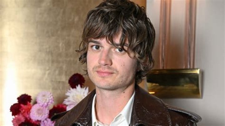 Discoveries And Insights About "meet Joe Keery Parents David"