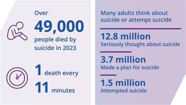 Discoveries And Insights For Understanding Suicide