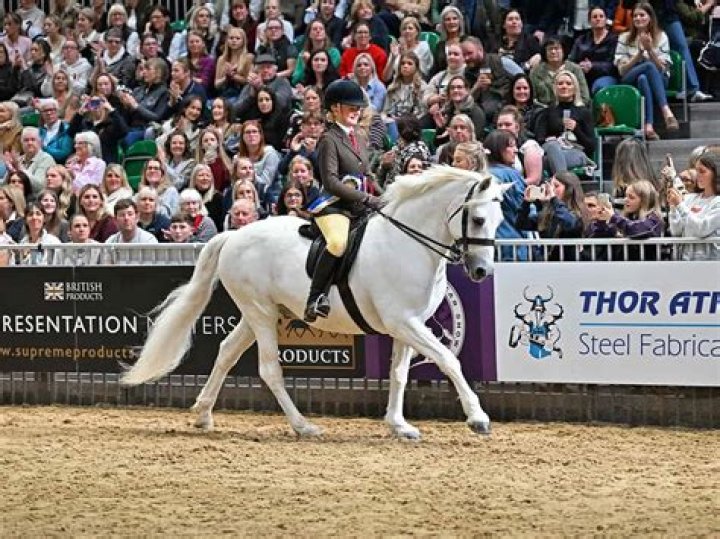 Discoveries And Insights Into Sam Skelton's Show Jumping Legacy