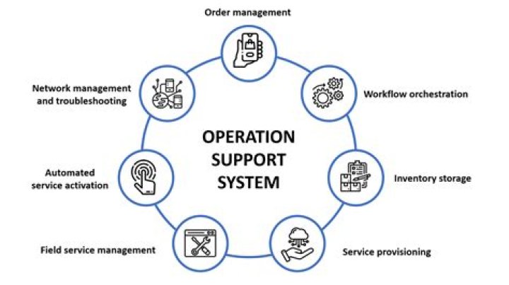 Discoveries And Insights Into Stephanie's Support System