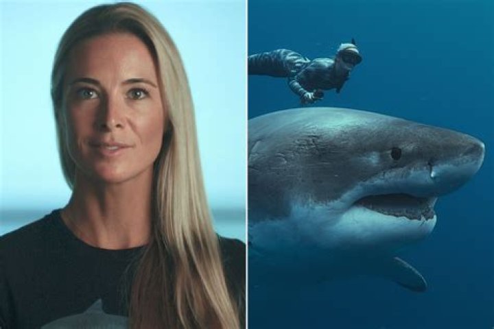 Discoveries From Ocean Ramsey's Journey In Marine Conservation