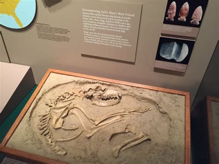 Discoveries In Her Ethnic Background