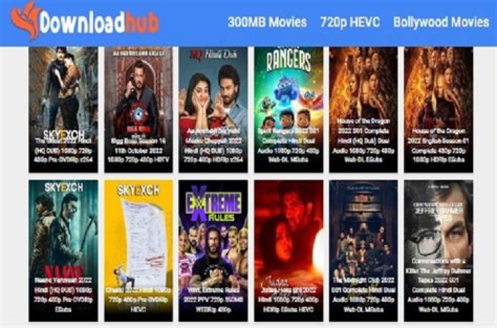 Downloadhub 300MB: Your Ultimate Guide to Accessing High-Quality Content