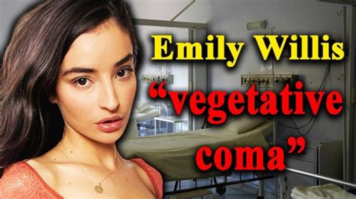 Emily Willis Daddy: A Comprehensive Look into the Life and Influence of Emily Willis