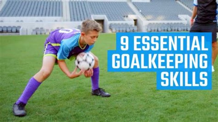 Essential Insights For Goalkeeping Excellence