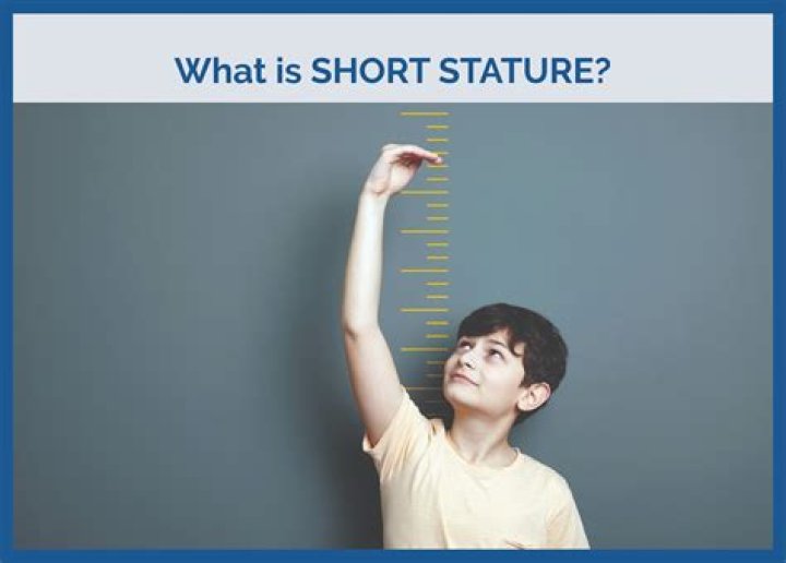 Exploring Brooke Langton's Stature And Its Impact