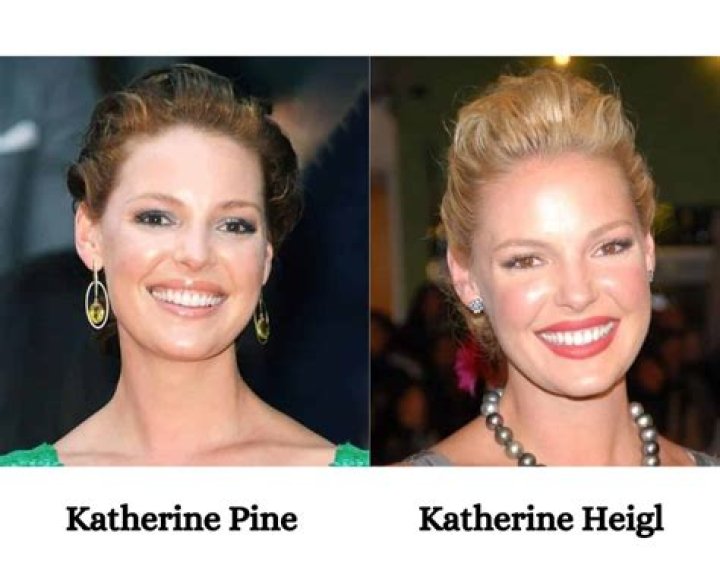 Exploring the Artistry of Katherine Pine and Katherine Heigl: A Comparative Journey