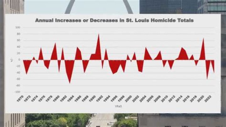 Exploring The Enigma Of St. Louis Murder-Suicide