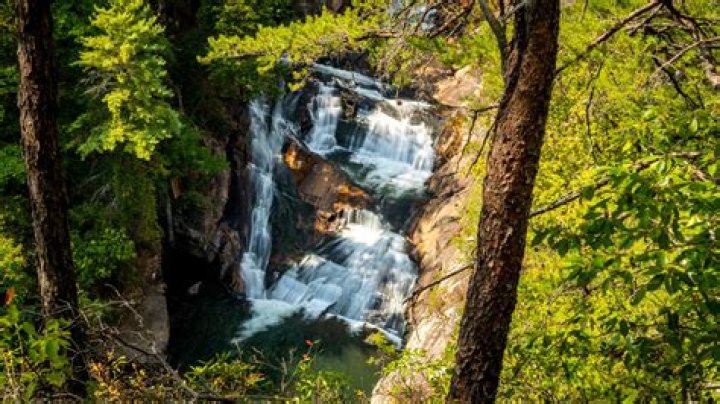 Exploring the Remarkable Career of Tallulah Lloyd