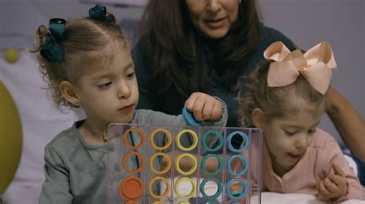 Exploring The Twins Lily And The Dynamics Of