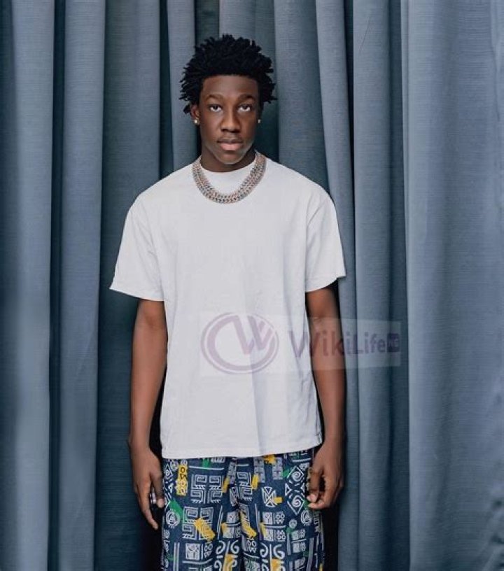 Exploring the World of Zerry DL Songs: A Comprehensive Guide