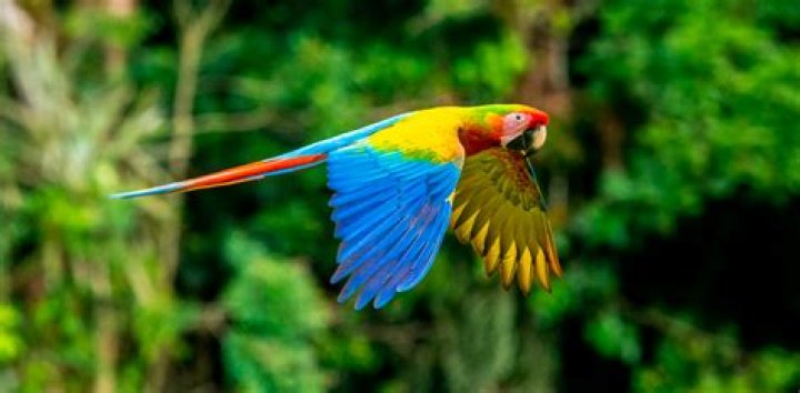 Fisherman's Island: A Paradise for Nature Lovers and Adventurers