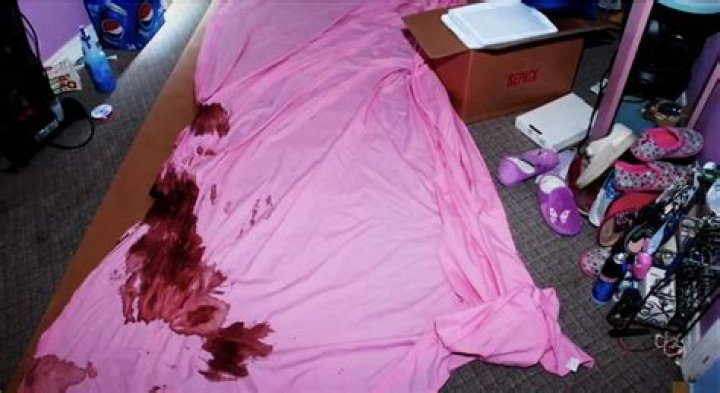 Gypsy Rose Crime Scene Pictures Released: A Deep Dive into the Controversial Case