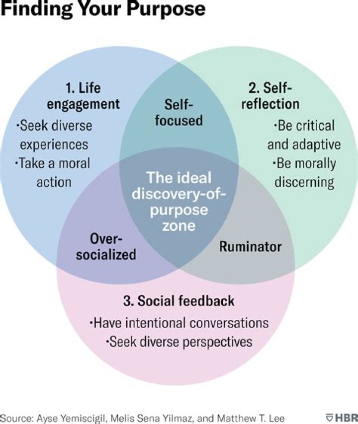 HDForyouhub: Your Ultimate Guide to Discovering High-Quality Content