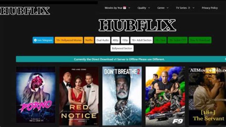 Hubflix: The Ultimate Streaming Platform for Movie Lovers