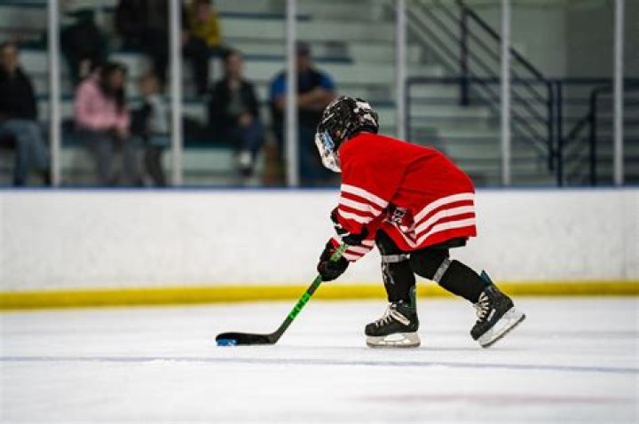 Ice Hockey Reference: The Ultimate Guide to Understanding and Mastering the Sport