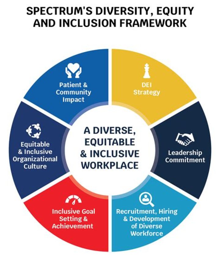 Insights And Discoveries In Diversity, Equity, And Inclusion
