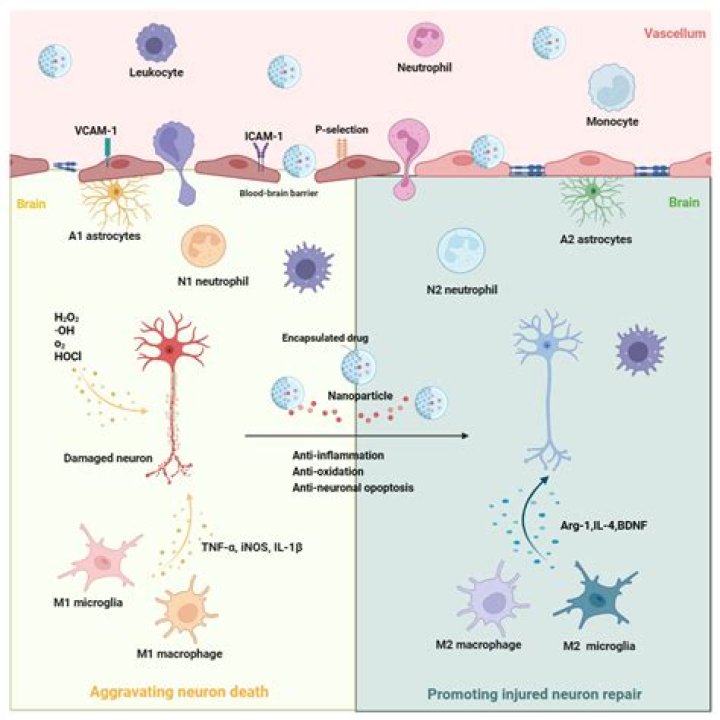Kai Cenat &acirc;ge: A Comprehensive Exploration of the Enigmatic Star