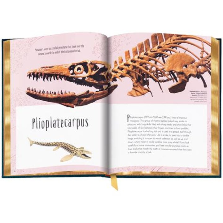 Lara Rose OnlyFans Leaks: The Complete Guide to Understanding the Controversy and Its Impact