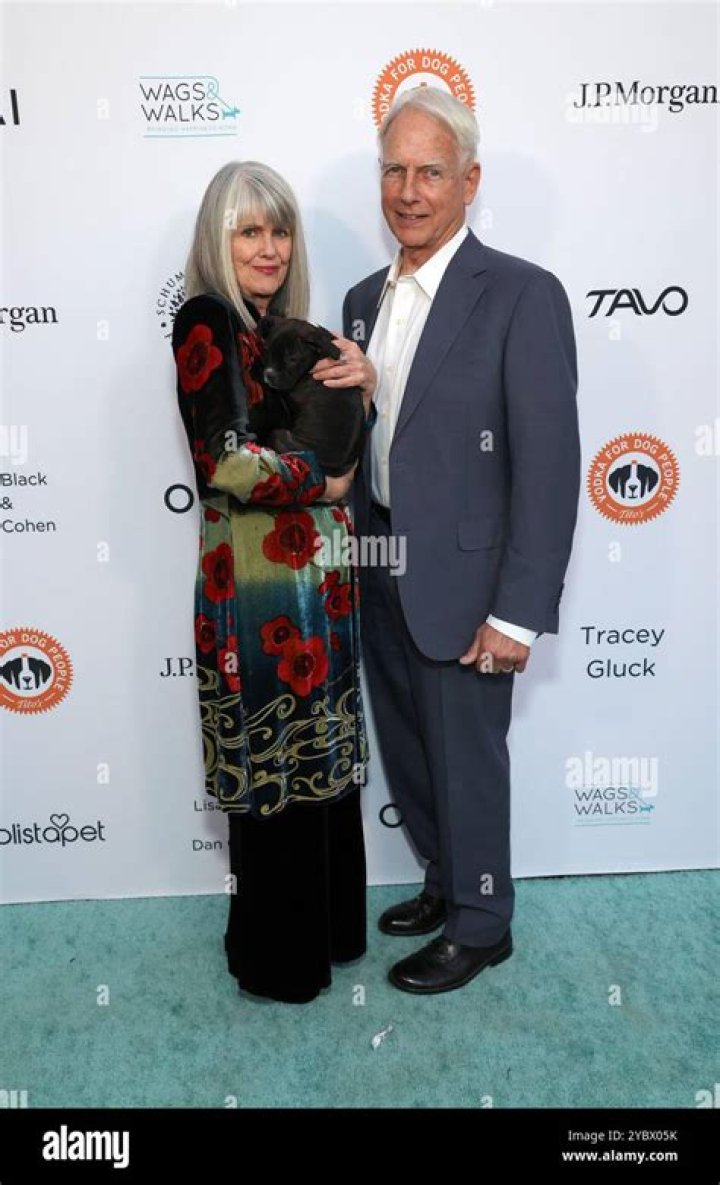 Mark Harmon and Pam Dawber Divorce: A Deep Dive into Their Relationship Journey