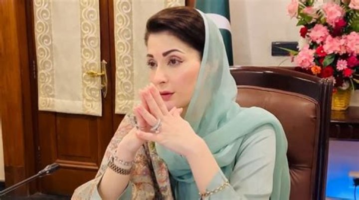 Maryam Nawaz Viral Video: Unpacking the Impact and Reactions