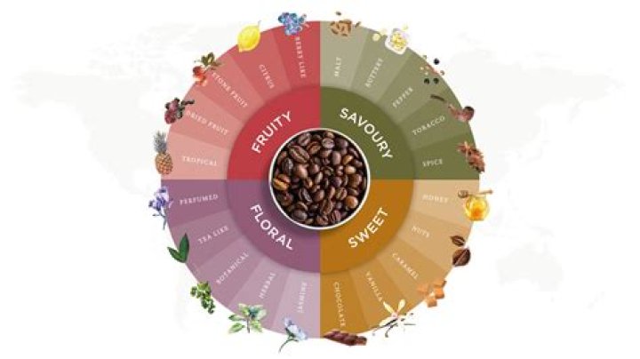 Master Flavour Combinations With Flavour Family Pictures: Unlocking Culinary Discoveries