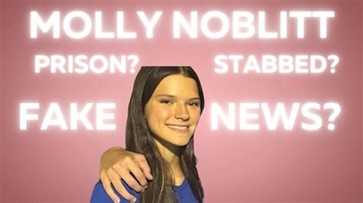 Molly Noblitt Ocean Springs Stabbing: A Deep Dive into the Incident and Its Implications