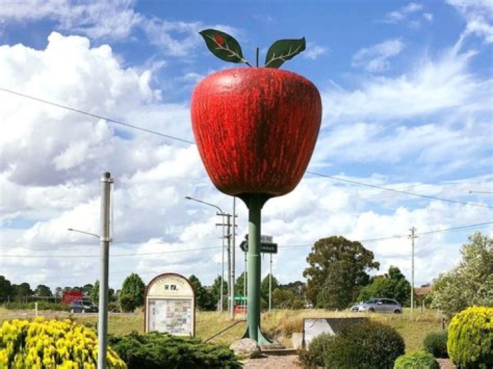 Pampano New York: A Gourmet Experience in the Heart of the Big Apple